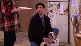 The Dog The Dog