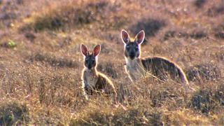 Summer Session Summer Session