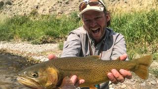 The New Fly Fisher