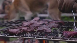 Lake Whitefish & Wild Salad Lake Whitefish & Wild Salad