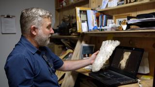 Giant Blobs and Backyard Bigfoot Giant Blobs and Backyard Bigfoot