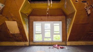 New Nest, Who This? New Nest, Who This?