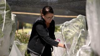 Xploration Awesome Planet