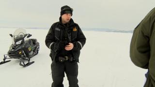 Mutilated Fish and Classroom Salmon