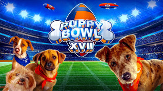 Puppy Bowl XVII