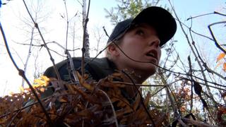 Autumn Deer, Bear, and Woodcock