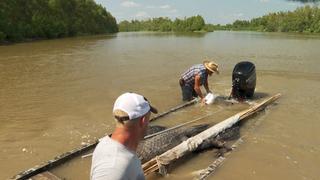 Swamp People