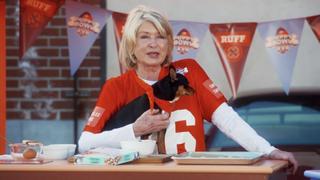 Puppy Field of Dreams Puppy Field of Dreams