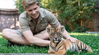 Tiger Triplets