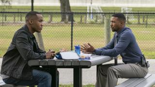 Leda and the Swan, Part II