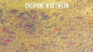 Everyone in Between