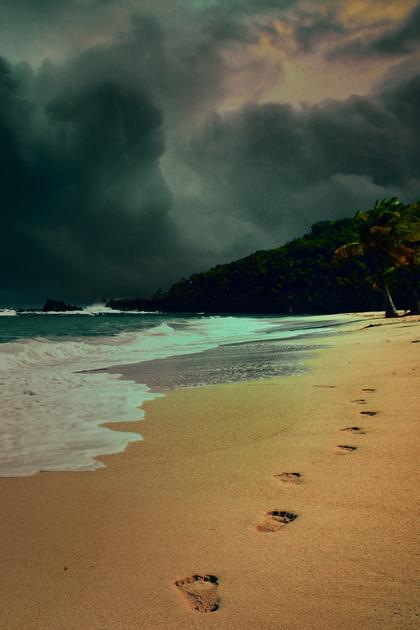 Deadly Excursion: Kidnapped From the Beach