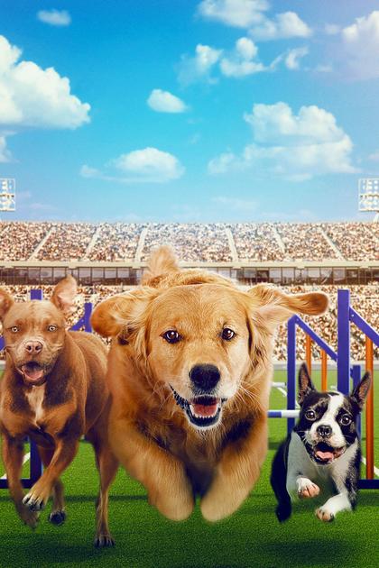 Puppy Bowl Presents: The Dog Games
