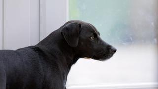 Paranormal Caught on Camera