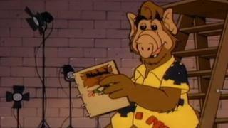 Robin Hood Robin Hood