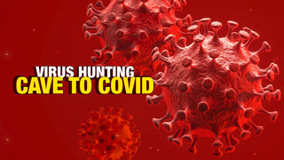 Virus Hunting: Cave to COVID