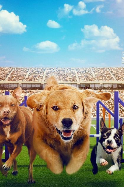 Puppy Bowl Presents: Best in Show