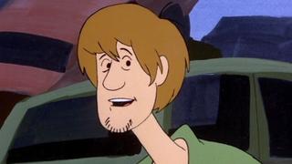 The Dynamic Scooby-Doo Affair