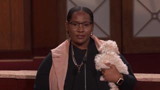 Tragic Puppy Death Dispute