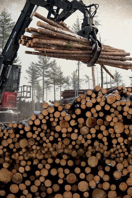 American Loggers