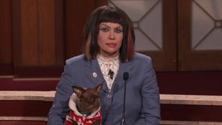 Junkyard Dog Dives Into Woman's Car!