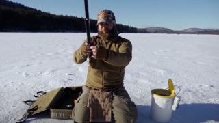 Landlocked Salmon & Chaga Landlocked Salmon & Chaga