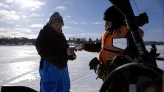 Snowmobiles and Moose