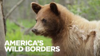America's Wild Border