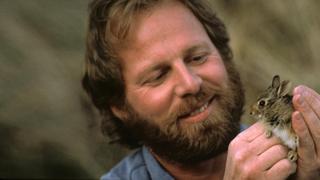 Bushytails Bushytails