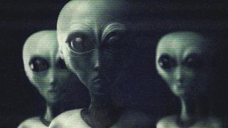 Bio UFO and More Bio UFO and More