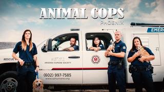 Animal Cops: Phoenix