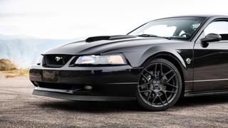 Cheap Hot Muscle!! 2004 Mustang GT hiding in plain sight! Cheap Hot Muscle!! 2004 Mustang GT hiding in plain sight!