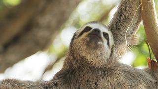 Hot Day in the New World