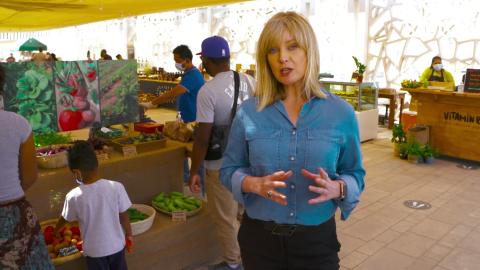 Fixing the Food Cycle