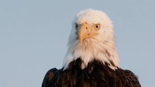 Family Time Family Time