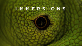 Immersions