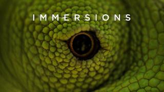 Immersions