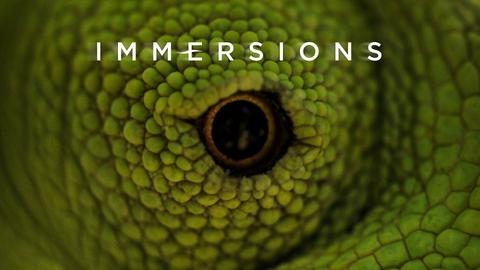 Immersions