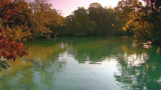 Manatee Spring Manatee Spring