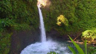 Cloudforest Waterfall Cloudforest Waterfall