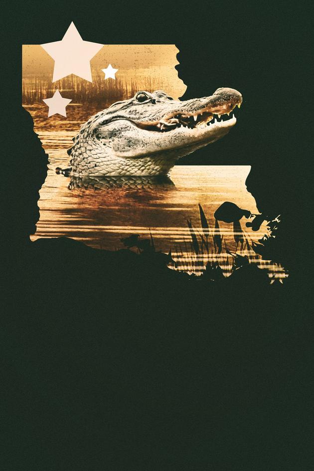 Louisiana Law