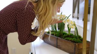 Holistic Home Office Holistic Home Office