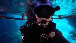 Tiger Shark as a Camera Operator + Florida Cave Diving Tiger Shark as a Camera Operator + Florida Cave Diving