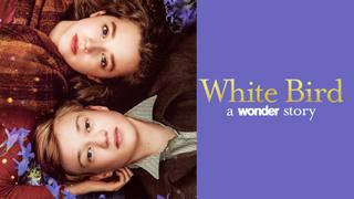  watch White Bird
