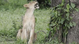 On The Move On The Move