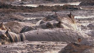 Water Worlds Water Worlds