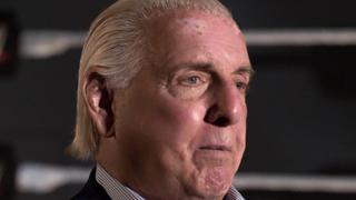 Ric Flair Ric Flair