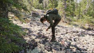 Nuclear Detectives Nuclear Detectives