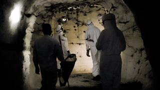 Virus Hunters Virus Hunters