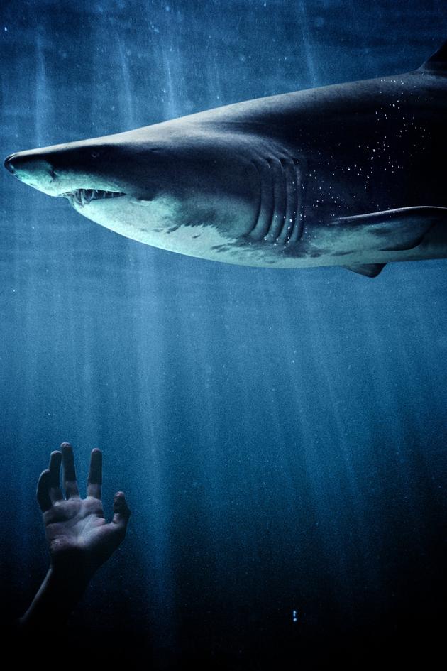 Shark Terror: USS Indianapolis